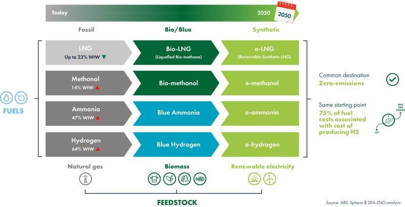 LNG from Fossil Bio and synthetic Infographic